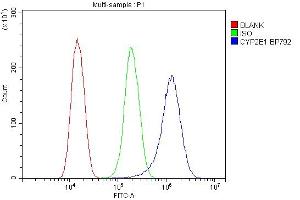 Flow Cytometry analysis of SiHa cells using anti-CYP2E1 antibody (ABIN7601446).