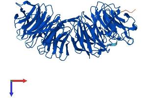 EML2 Protein (AA 1-649) (His tag)