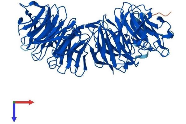 EML2 Protein (AA 1-649) (His tag)