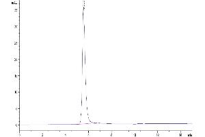Size-exclusion chromatography-High Pressure Liquid Chromatography (SEC-HPLC) image for VEGF Receptor 2 (VEGFR2) (AA 20-764) protein (His-Avi Tag) (ABIN7275837)