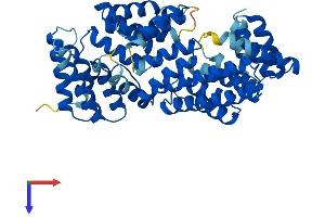 AlphaFold protein structure predicition of Human Recombinant IFIT5 Protein, UniprotID Q13325