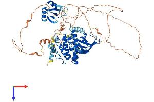 MAP3K2 Protein (AA 1-619) (His tag)