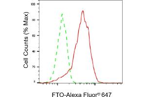 Flow cytometric analysis of FTO expression in HepG2 cells using FTO antibody (ABIN7798582), 1:2,000). (Rekombinanter FTO Antikörper)