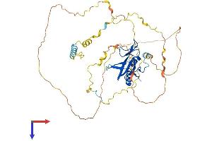 B-Cell Linker Protein (BLNK) (AA 1-456) (His tag)