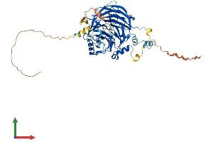 Protein Structure (PS) image for DDB1 and CUL4 Associated Factor 11 (DCAF11) (AA 1-546) protein (His tag) (ABIN7546935)