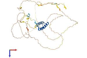 HOXB3 Protein (AA 1-431) (His tag)