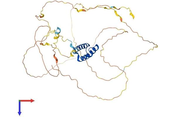 HOXB3 Protein (AA 1-431) (His tag)