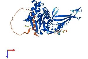 USP18 Protein (AA 1-372) (His tag)