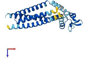 Tspan-8 Protein (AA 1-237) (His tag)