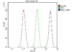 Flow Cytometry analysis of 293T cells using anti-MDC1 antibody (ABIN5693232).