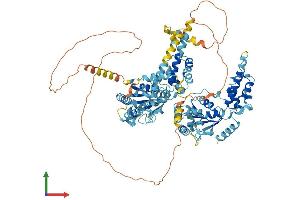 AlphaFold protein structure predicition of Human Recombinant NVL Protein, UniprotID O15381