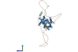 Protein Structure (PS) image for Cholinergic Receptor, Muscarinic 5 (CHRM5) (AA 1-532) protein (His tag) (ABIN7560176)