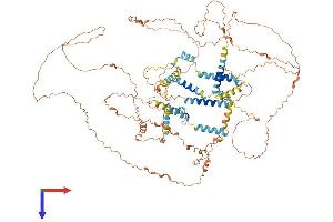 SPATA31 Subfamily D, Member 3 (SPATA31D3) (AA 1-917) protein (His tag)