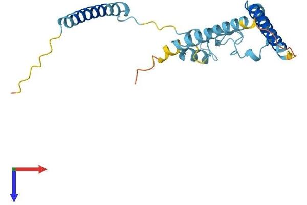 RP9 Protein (AA 1-213) (His tag)