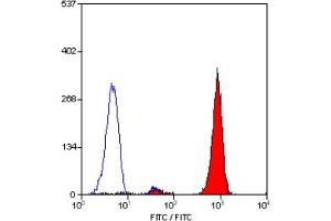 Staining of human peripheral blood granulocytes with MOUSE ANTI HUMAN CD16:FITC (CD16 Antikörper  (FITC))