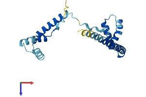 HMGB4 Protein (AA 1-186) (His tag)