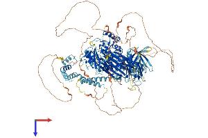 INPP5D Protein (AA 1-1189) (His tag)