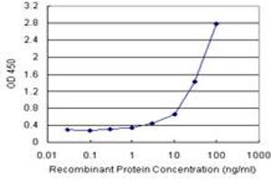 Sandwich ELISA detection sensitivity ranging from 0. (CPB1 (Human) Matched Antibody Pair)