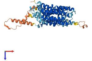 SLC43A3 Protein (AA 1-502) (His tag)