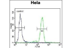 L Sumoylation Site Antibody (ABIN389073 and ABIN2839274) flow cytometric analysis of Hela cells (right histogram) compared to a negative control cell (left histogram). (PML Antikörper  (Sumoylation Site))