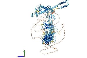 AlphaFold protein structure predicition of Mouse Recombinant Med14 Protein, UniprotID A2ABV5