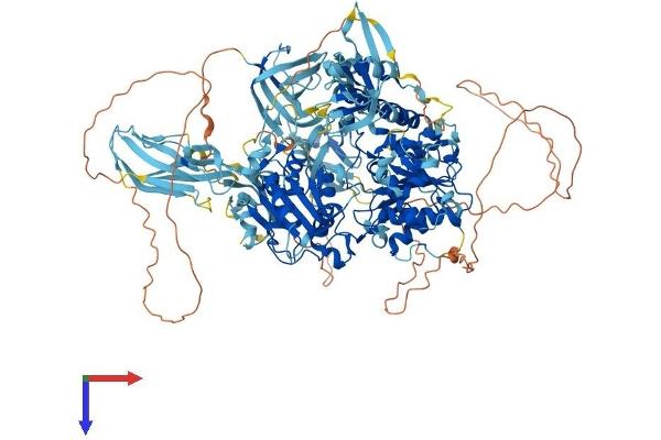 MOV10L1 Protein (AA 1-1187) (His tag)