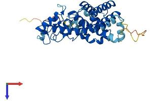 AlphaFold protein structure predicition of Human Recombinant CXorf38 Protein, UniprotID Q8TB03