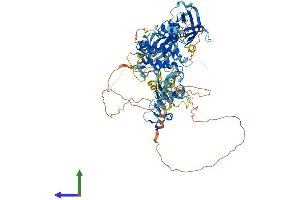 PKD2 Protein (AA 1-875) (His tag)