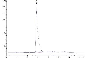 The purity of Human CLEC-1 is greater than 95 % as determined by SEC-HPLC. (CLEC1A Protein (AA 74-280) (Fc Tag))