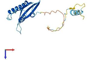 SNX24 Protein (AA 1-169) (His tag)
