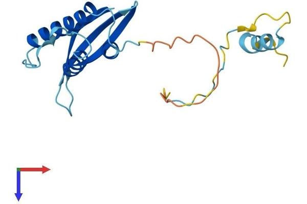 SNX24 Protein (AA 1-169) (His tag)