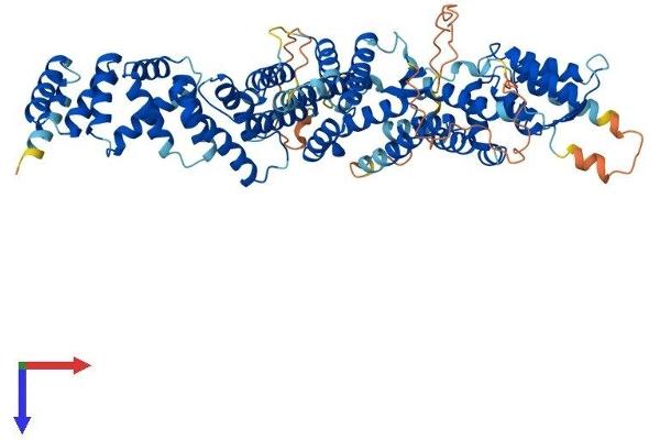 INTS10 Protein (AA 1-710) (His tag)