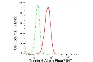 Flow cytometric analysis of Tensin 4 expression in HepG2 cells using Tensin 4 antibody (ABIN7800531), 1:2,000). (Rekombinanter Tensin 4 Antikörper)