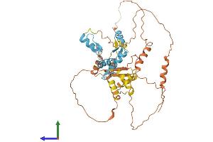 AlphaFold protein structure predicition of Human Recombinant ZBTB26 Protein, UniprotID Q9HCK0