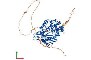 Protein Structure (PS) image for Chromosome 6 Open Reading Frame 150 (C6orf150) (AA 1-507) protein (His tag) (ABIN7564520)