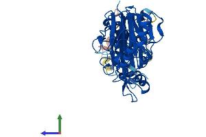 Protein Structure (PS) image for Chromosome 13 Open Reading Frame 31 (C13orf31) (AA 1-430) protein (His tag) (ABIN7559056)