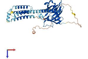 STARD3 Protein (AA 1-445) (His tag)