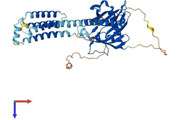 STARD3 Protein (AA 1-445) (His tag)