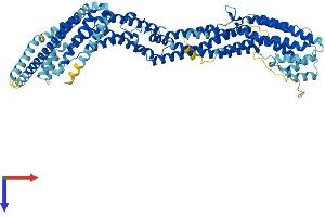 EXOC3 Protein (AA 1-755) (His tag)