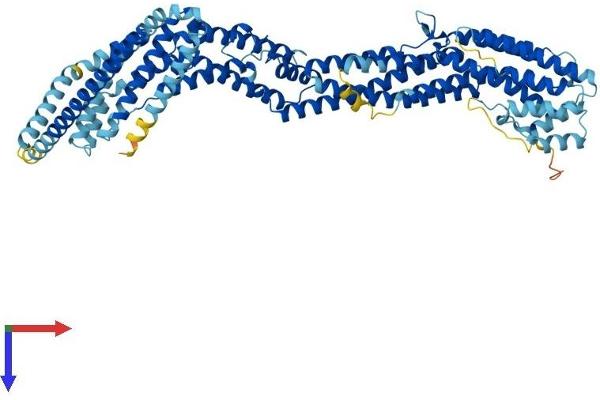 EXOC3 Protein (AA 1-755) (His tag)