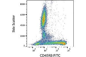 Surface staining of human peripheral blood with anti-CD45RB (MEM-55) FITC. (CD45RB Antikörper  (FITC))