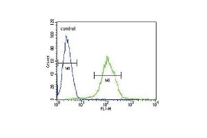 CFHR5 Antibody (Center) (ABIN651876 and ABIN2840434) flow cytometric analysis of CEM cells (right histogram) compared to a negative control cell (left histogram). (CFHR5 Antikörper  (AA 203-231))