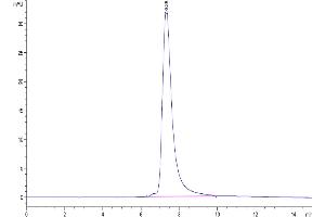 Size-exclusion chromatography-High Pressure Liquid Chromatography (SEC-HPLC) image for Ectonucleotide Pyrophosphatase / phosphodiesterase 2 (ENPP2) (AA 49-863) protein (His tag) (ABIN7274534)