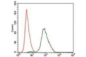 Flow cytometric analysis of NIH3T3 cells using SPIB mouse mAb (green) and negative control (red). (SPIB Antikörper  (AA 200-252))