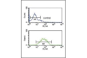 Flow Cytometry (FACS) image for anti-Sprouty RTK Signaling Antagonist 4 (SPRY4) (AA 26-56) antibody (ABIN652338)