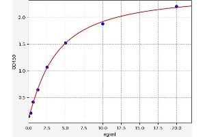 Peroxiredoxin 3 ELISA Kit