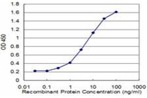 Detection limit for recombinant GST tagged CHP is approximately 0. (CHP Antikörper  (AA 1-66))