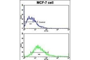 Flow cytometric analysis of MCF-7 cells using DSG2 Antibody (N-term ) (bottom histogram) compared to a negative control cell (top histogram). (Desmoglein 2 Antikörper  (N-Term))