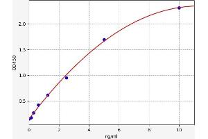 Bone Morphogenetic Protein 15 (BMP15) ELISA Kit
