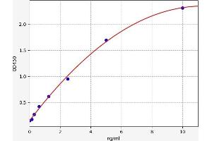 Typical standard curve (BMP15 ELISA Kit)